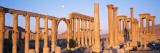Ruins  Palmyra  Syria