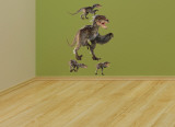 Raptor Layout