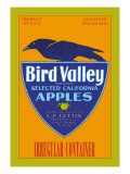 Bird Valley Brand Apples