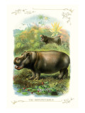 The Hippopotamus