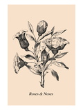 Optical Illusion Puzzle: Roses and Noses