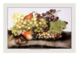 Grapes and Pears with a Snail