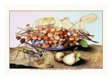 Bowl of Strawberries  Pears and a Grasshopper