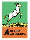 A is for Antelope