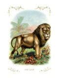 The Lion