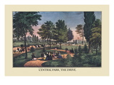 Central Park  The Drive
