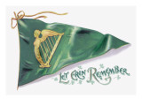 Let Erin Remember