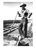 Migrant Irrigator