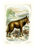The Wolf