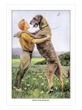 Irish Wolfhound
