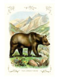 The Grizzly Bear
