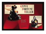 Gypsy Fortune Teller Instructions