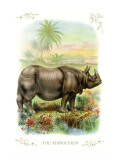 The Rhinoceros
