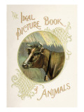 The Ideal Picture Book of Animals