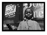 Harlem Newsboy
