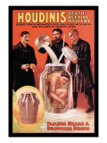 Houdini's Death-Defying Mystery