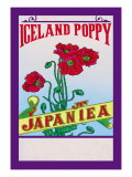 Iceland Poppy Tea