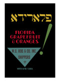 Florida Grapefruit and Oranges