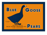 Blue Goose Pears