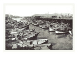 Fisherman's Wharf  San Francisco  California