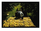 Hauling Crates of Peaches