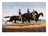Horse Race