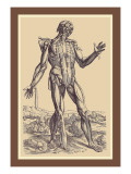 The Fifth Plate of the Muscles