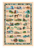 Animal Alphabet