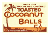 Toasted Cocoanut Balls