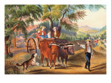 Haying Time