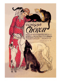 Clinique Cheron  Veterinary Medicine and Hotel