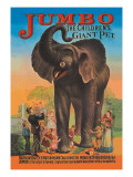 Jumbo  The Children's Giant Pet