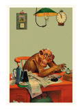 Tax Time
