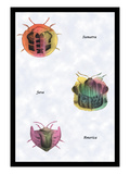 Beetles of Sumatra  Java and America
