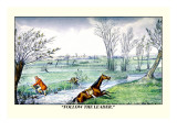 Horse and Rider Climb Out of the Stream on Different Sides