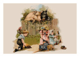 Curious Pigs