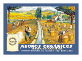 Abonos Organicos