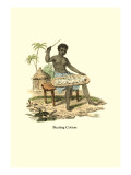 Beating Cotton