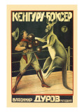 Kangaroo Boxer