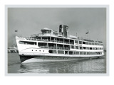 The Pilson