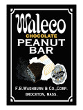 Waleco Chocolate Peanut Bar