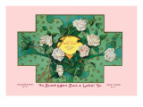 White Rose Soap