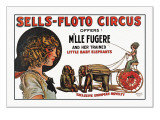 Sells-Floto Circus