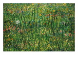 Patch of Grass