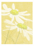 Daisies in Gold