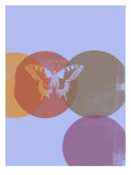 Butterfly Screen