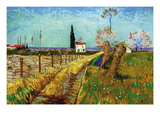 Path Through a Field with Willows