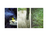 River's Edge Triptych