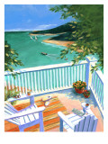 Lake View from the Terrace