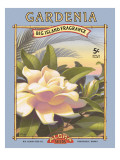 Gardenia
